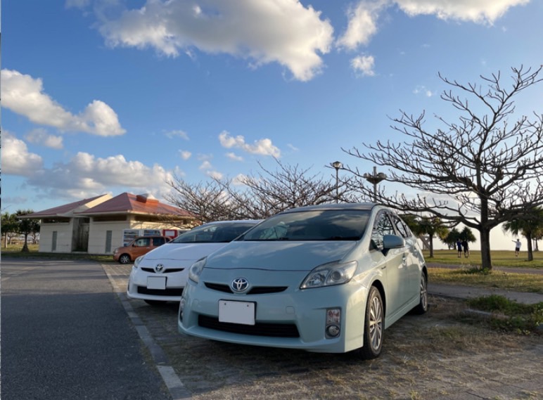 SUR Rental Car