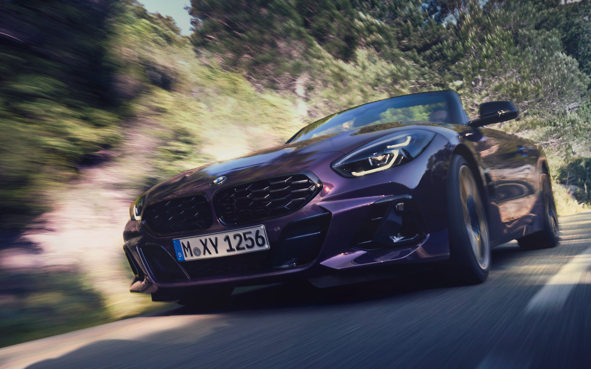 "RANCE AUTO Rent-a-Car"