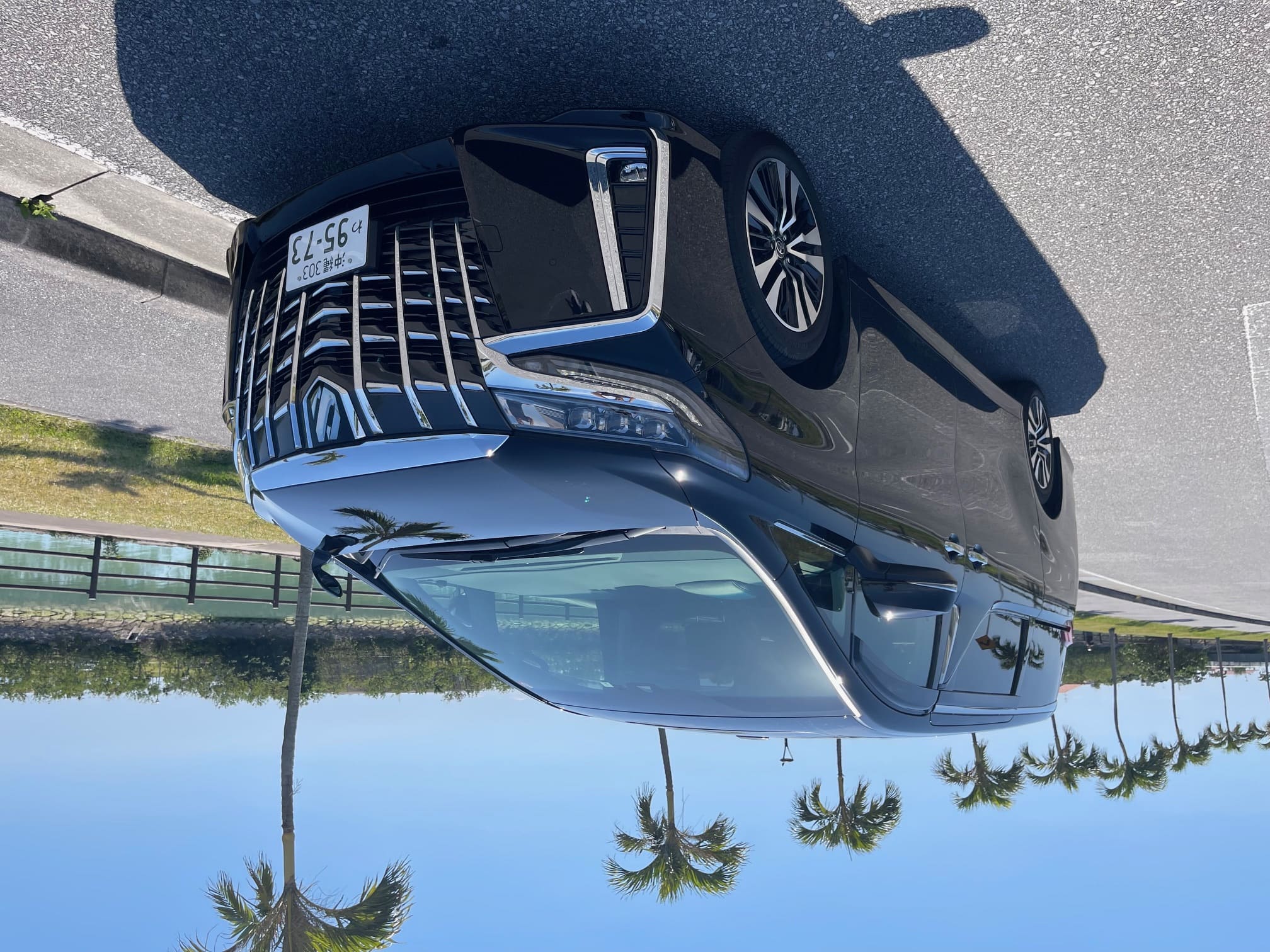 Pineapple Rent-a-Car