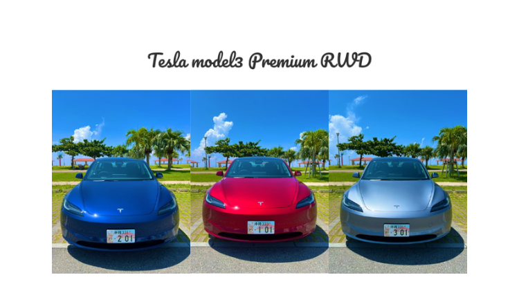 Tesla EV Rental