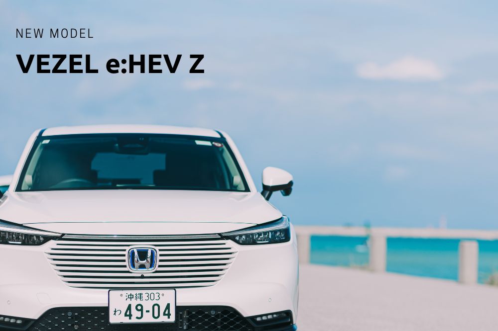 Platinum Rent-a-Car (Monorail Kencho-mae Station)