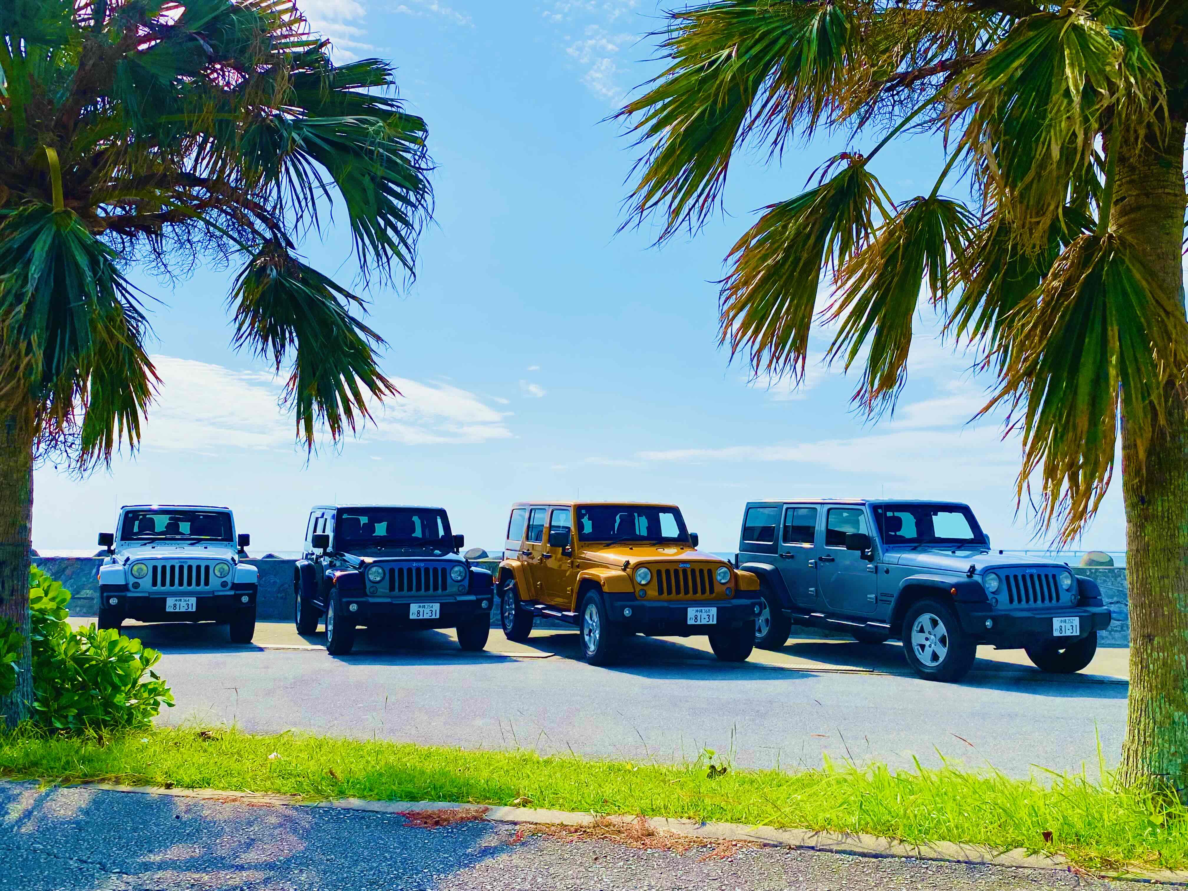 Resort Rent A Car AQUA